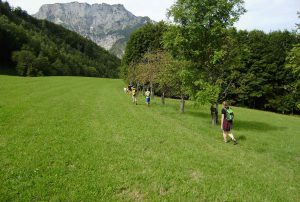 Lokales Die Mooskirchner Senioren besuchten die Salzwelten von Hallein. entdecken und die Geschichte des Salzes, des Weien Golds, kennenlernen. Salzwelten Hallein - Thema auf volunteeralert.com