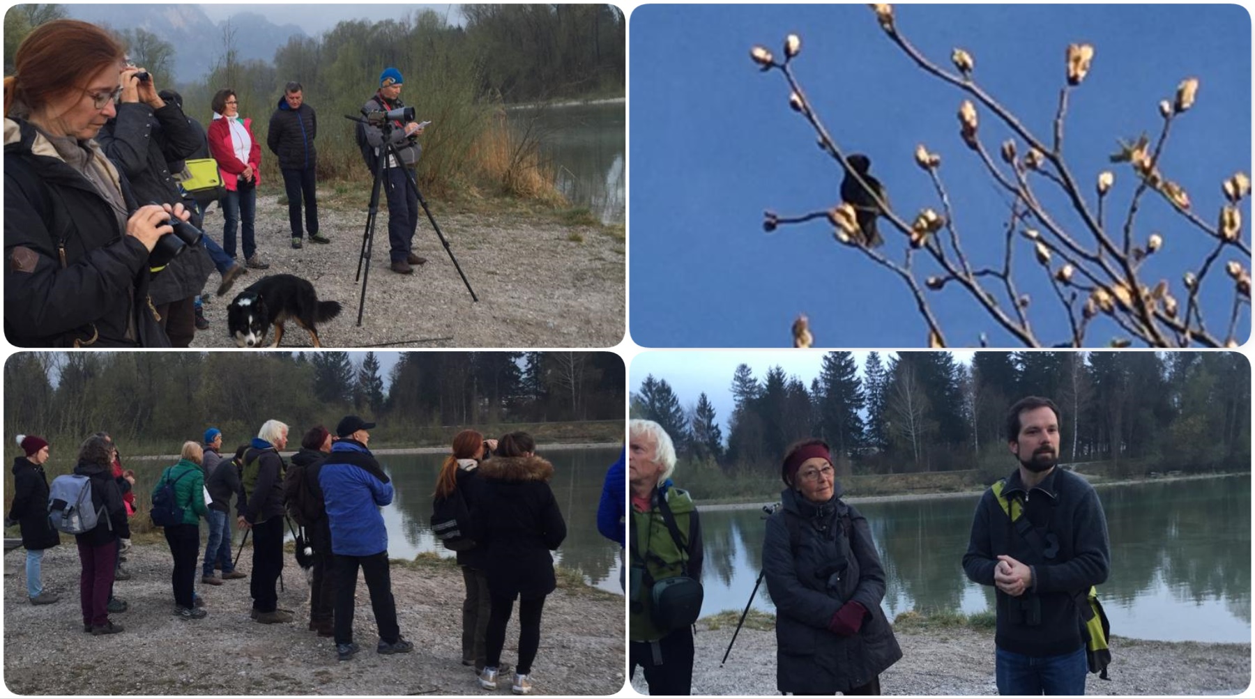 2019-04-06_WerSingtDennDa2